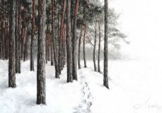 Bosque de pinos de invierno en la orilla.