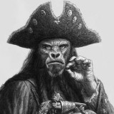Капитан Обезьяна - пиратский главарь.