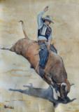 The bull rider