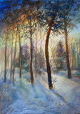 Рассвет в зимнем лесу