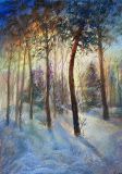 Dawn in the winter forest