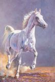 Портрет белого коня