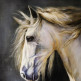 Портрет коня с золотой гривой