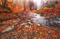 A stream in the forest. Velvet autumn