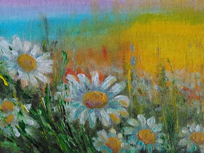 sunny daisies