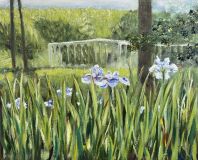 Irises in Peterhof