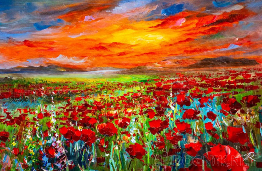 A scarlet sunset over a poppy field
