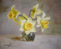 Narcisos