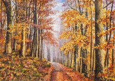 Golden autumn walks along the colorful paths...