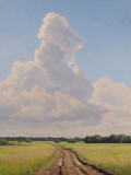 Cloud over the field