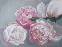 Peonies