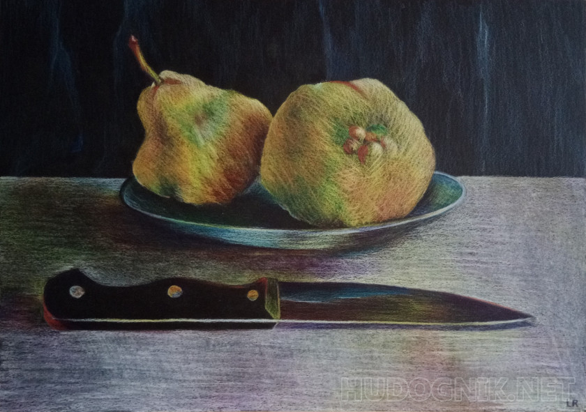 still life, pears