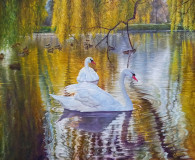 Swans in the pond