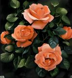 Rosas beige