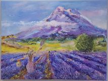 Lavender field