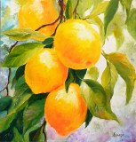 Limones