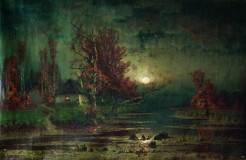 NIGHT LANDSCAPE