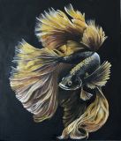 Goldfish
