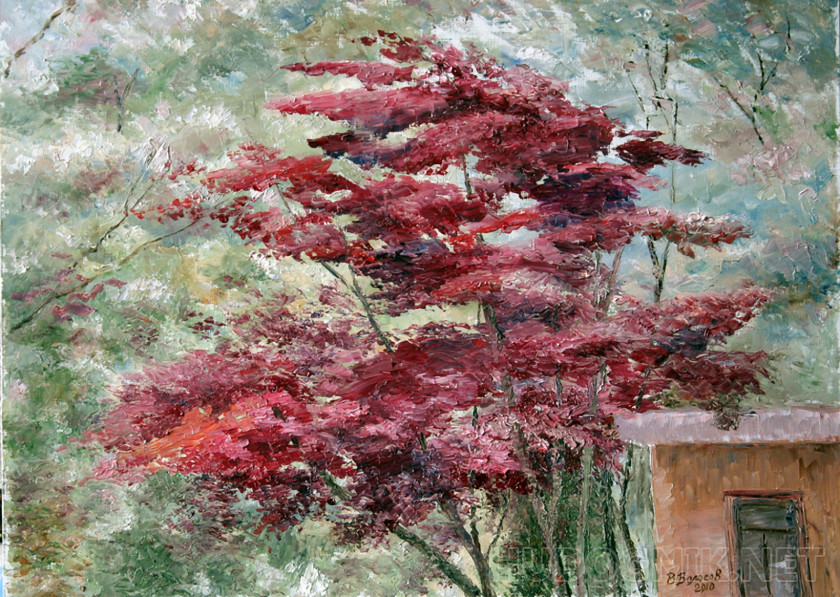 Landscape with red tree