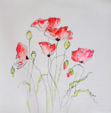 Poppies