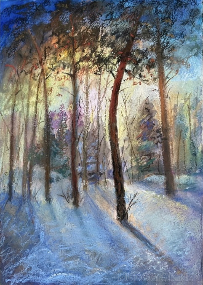 Dawn in the winter forest