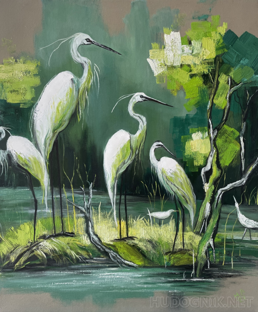 Herons