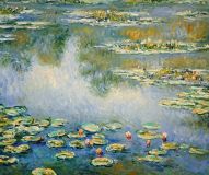 Water lilies