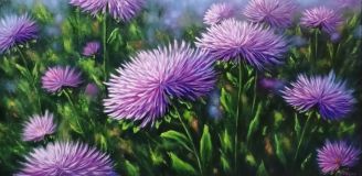 Asters