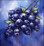 Blueberry Harmony