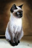 Miniature "Siamese smooth-haired cat"