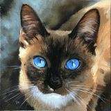 Miniature "Siamese cat"